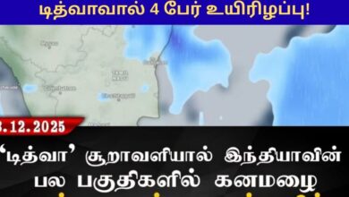 டித்வாவால் 4 பேர் உயிரிழப்பு!