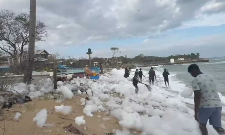 வெண் பஞ்சுத் திரளாக காட்சியளித்த கடற்கரை!