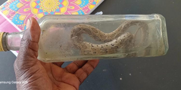 பாம்புக்கடிக்கு இலக்கான இளைஞன் உயிரிழப்பு!