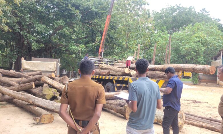 கடத்தப்பட்ட 30 இலட்சம் பெறுமதியான மரக்குற்றிகள் மீட்பு!