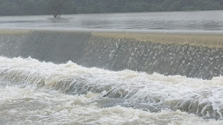 கிளிநொச்சியில் குளங்கள் வான் பாய்கின்றன!