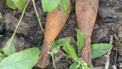 கிளிநொச்சியில் வெடிக்காத மோட்டார் குண்டுகள் மீட்பு!