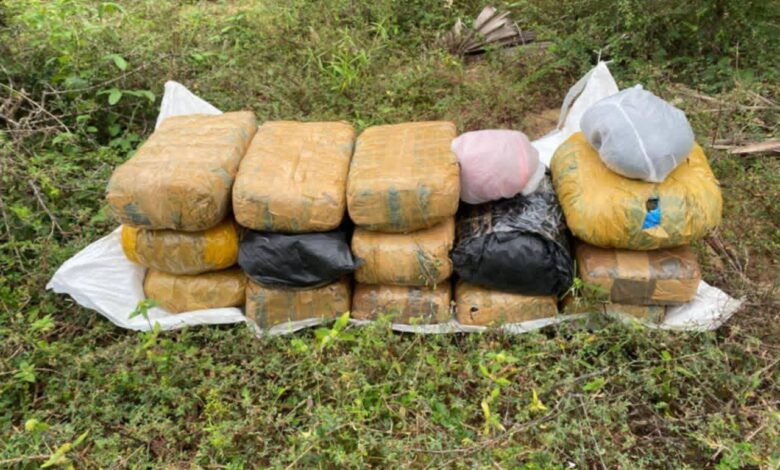 பளை - மாசார் பகுதியில் 23 கிலோ கேரள கஞ்சா மீட்பு!