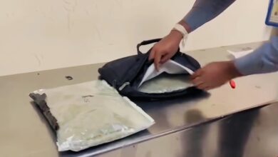 கட்டுநாயக்கவில் 10 மில்லியன் ரூபா பெறுமதியான போதைப்பொருளுடன் ஒருவர் கைது!