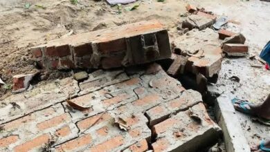 யானை தாக்கிப் பெண் பலி: இருவர் காயம்!