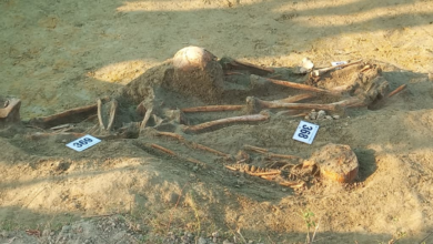 செம்மணியில் 11 என்புக்கூடுகள் இன்று அடையாளம்: 7 என்புக்கூடுகள் அகழ்ந்தெடுப்பு!