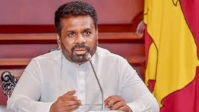 இலங்கை அரச ஊழியர்களின் சம்பளம் பிரச்சினைகளை தீர்க்க புதிய ஆணைக்குழு நியமனம்!