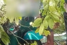 முச்சக்கரவண்டி மீது மரம் வீழ்ந்ததில் மாணவன் உட்பட மூவர் பலி!