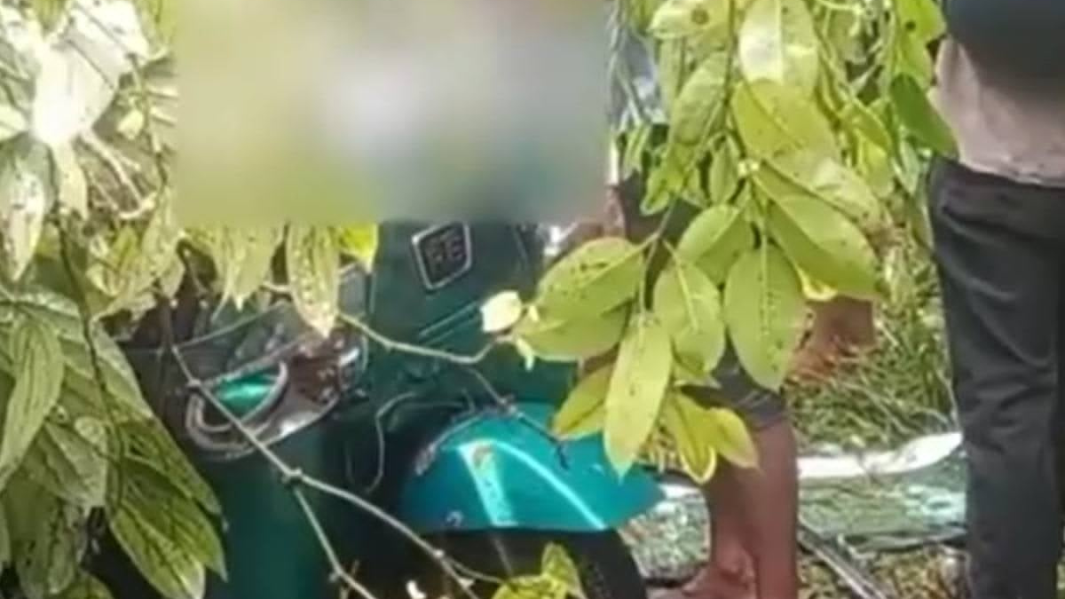 முச்சக்கரவண்டி மீது மரம் வீழ்ந்ததில் மாணவன் உட்பட மூவர் பலி!