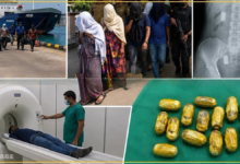 நூதனமாக இந்தியாவிற்கு தங்கம் கடத்த முயன்ற கும்பல் யாழில் கைது!
