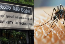 டெங்கு பரவலால் மொரட்டுவை பல்கலைக்கழகம் மூடல்!