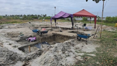 செம்மணியில் நேற்றும் 10 என்புக் கூடுகள் அடையாளம்: அகழ்வு பணிகள் நாளையுடன் தற்காலிக நிறைவு!
